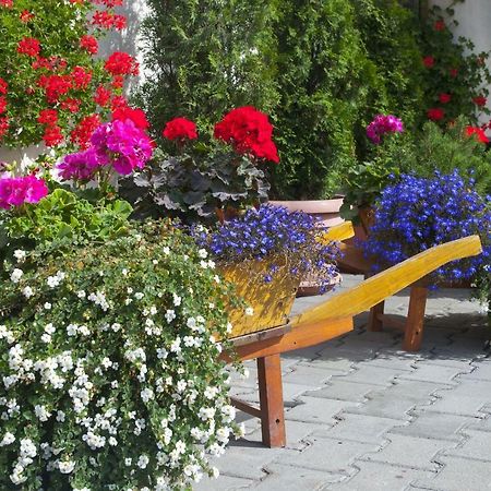 Hotel Cosmos Campulung Moldovenesc Bagian luar foto